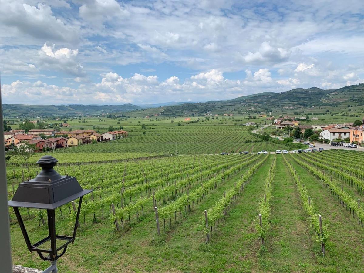 Soave House Alle Vigne-2-Luxury Stay 외부 사진